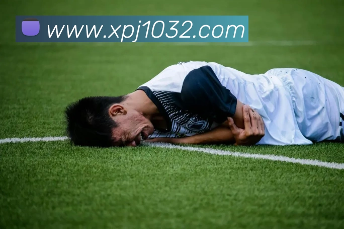 澳门新葡京网站平台生态图